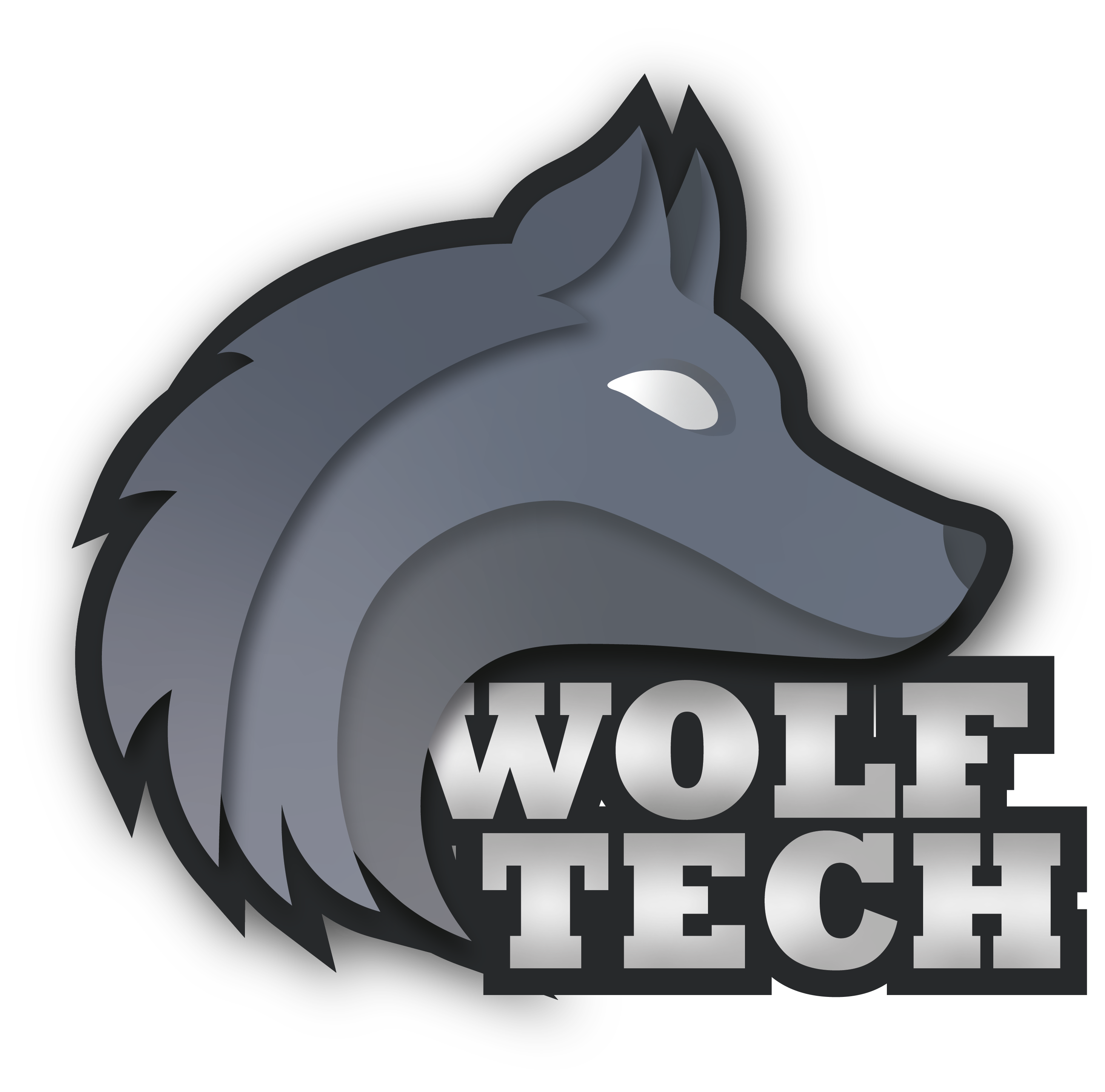 Logo Wolftech Chetumal